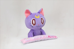 ルナのPCクッション