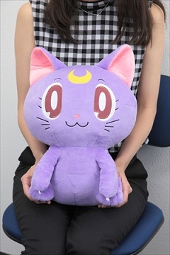 ルナのPCクッション