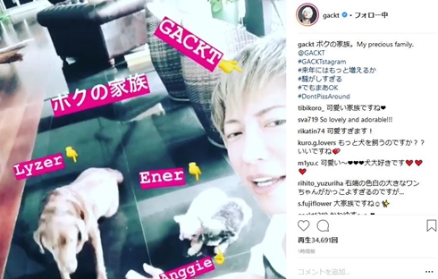 GACKT 家族 ペット ライザー アンジー ドルチェ エネル 愛犬
