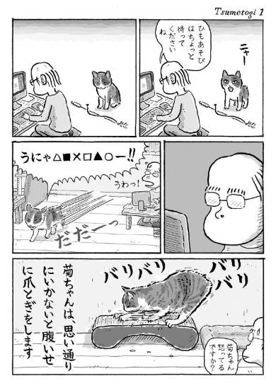 猫の変な行動漫画