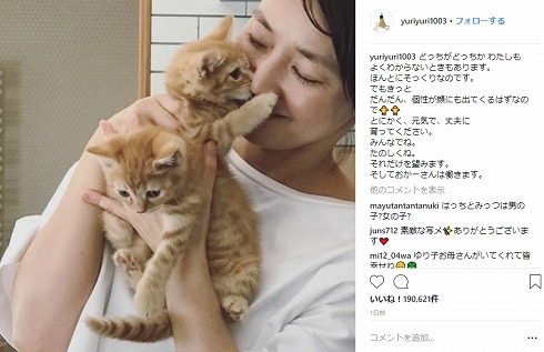 石田ゆり子 はっち みっつ はちみつ兄弟 猫 Instagram 動物病院