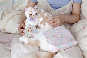 ホイップちゃんグッズ