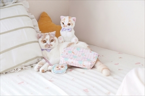 ホイップちゃんグッズ