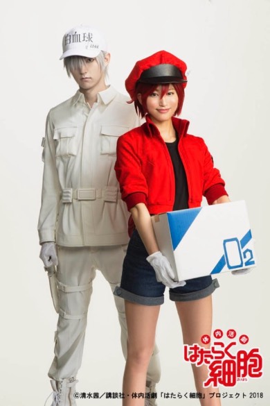 はたらく細胞 舞台 和田雅成 七木奏音 白血球 赤血球 ビジュアル