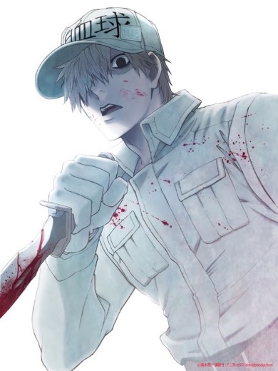 はたらく細胞 舞台 和田雅成 七木奏音 白血球 赤血球 ビジュアル