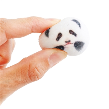 パンダのほうずい