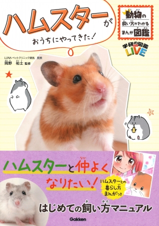 ハムスターがおうちにやってきた！