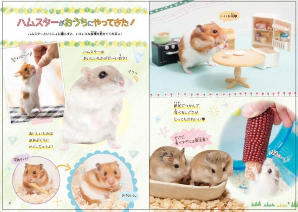 ハムスターがおうちにやってきた！