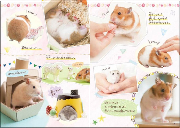 ハムスターがおうちにやってきた！