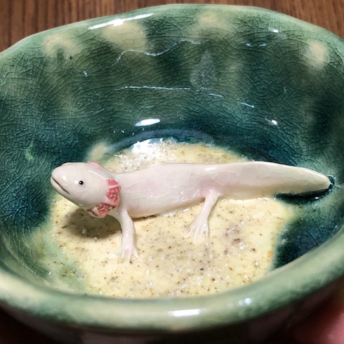 兎 デザフェス ウーパールーパー