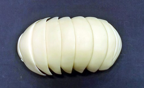 ワンダーフェスティバル 2018 ダンゴムシ