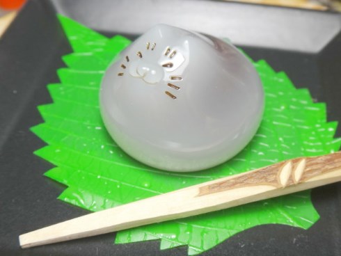 ワンダーフェスティバル2018 夏 猫水まんじう カピバラ ハシビロコウ 貝猫商事