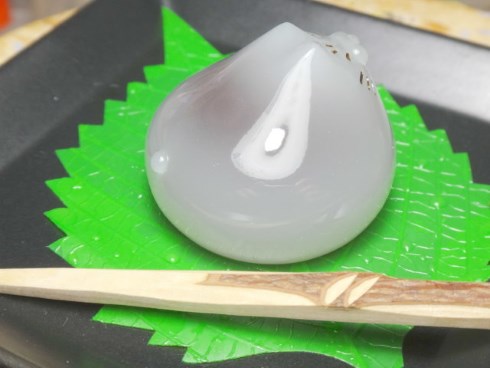 ワンダーフェスティバル2018 夏 猫水まんじう カピバラ ハシビロコウ 貝猫商事