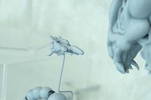 ドブケラドプス