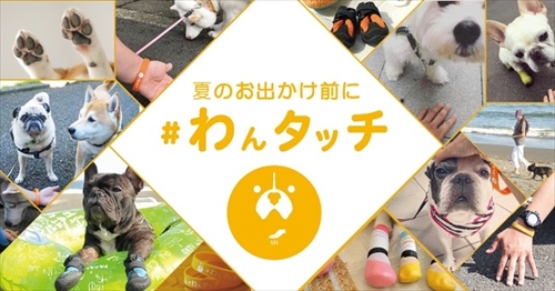 docdogワンタッチキャンペーン