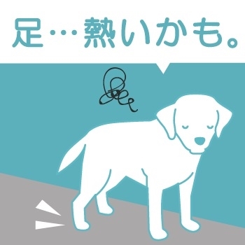 docdogワンタッチキャンペーン