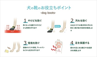 docdogワンタッチキャンペーン