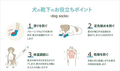 docdogワンタッチキャンペーン