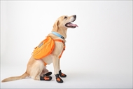 docdogワンタッチキャンペーン