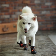 docdogワンタッチキャンペーン