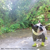 docdogワンタッチキャンペーン