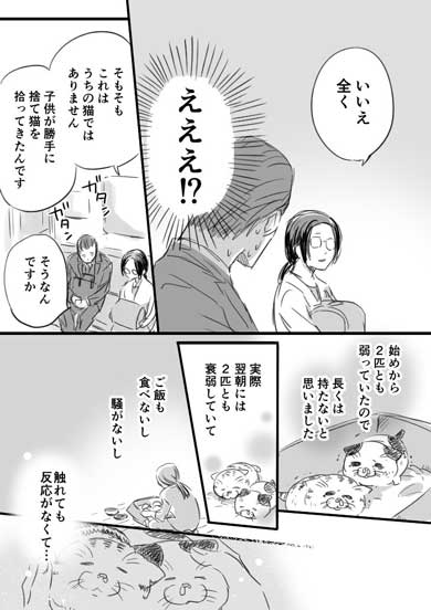 おじさまと猫 ふくまる 猫 漫画 コラボカフェ