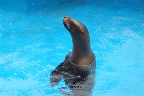 マリンピア日本海