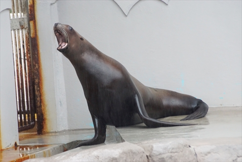 マリンピア日本海