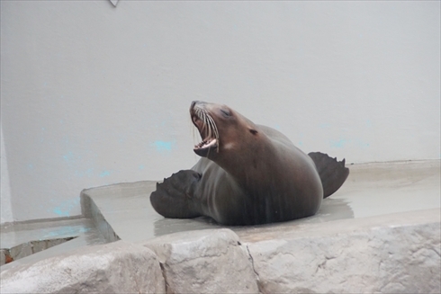 マリンピア日本海
