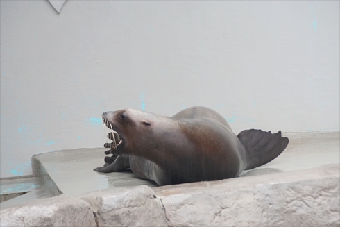 マリンピア日本海