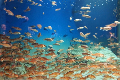 マリンピア日本海