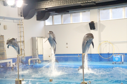 マリンピア日本海