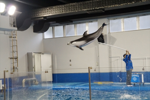 マリンピア日本海