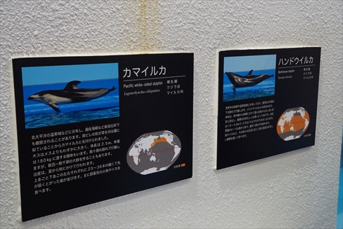 マリンピア日本海