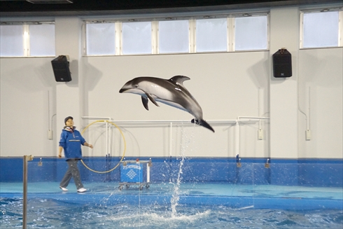 マリンピア日本海