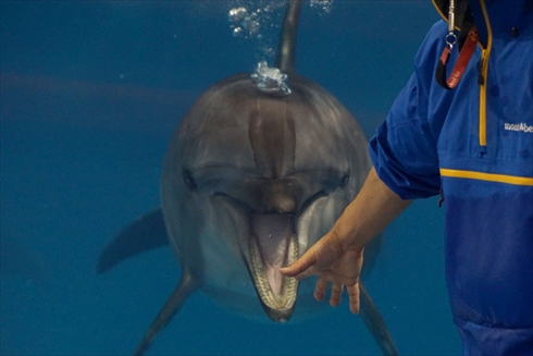 マリンピア日本海