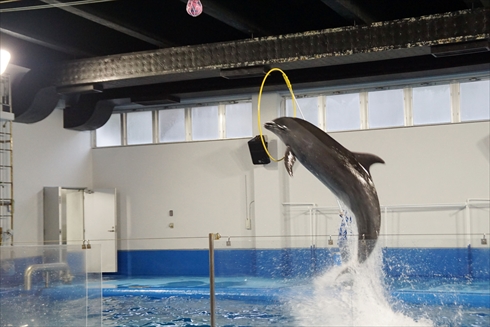 マリンピア日本海