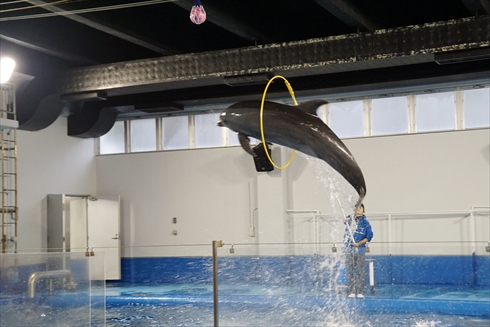 マリンピア日本海