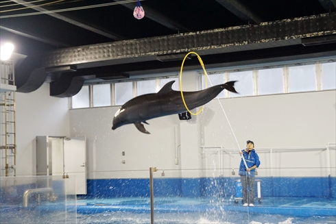 マリンピア日本海