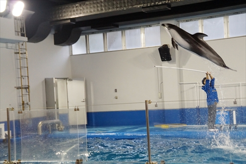 マリンピア日本海