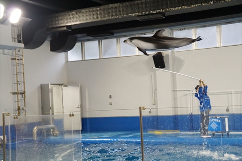 マリンピア日本海