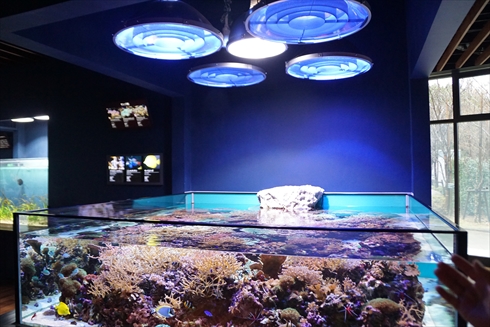 マリンピア日本海