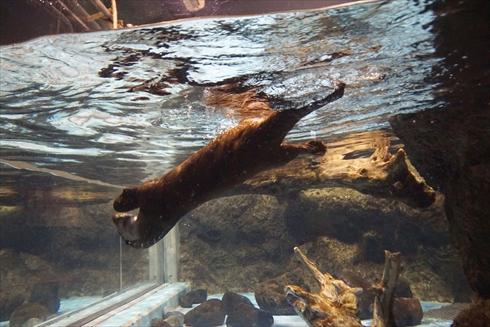 マリンピア日本海