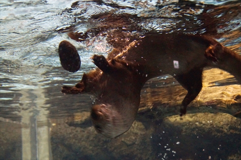 マリンピア日本海