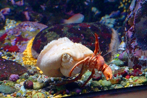 マリンピア日本海