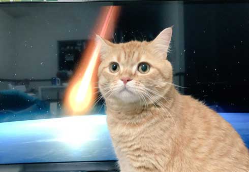 宇宙 猫 テレビ 合成 スペースキャット