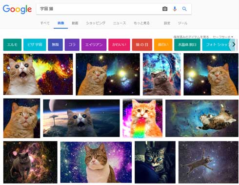 宇宙 猫 テレビ 合成 スペースキャット