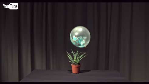 世界一スッキリしない動画 YouTube イライラ スイカ プリン ハンマー