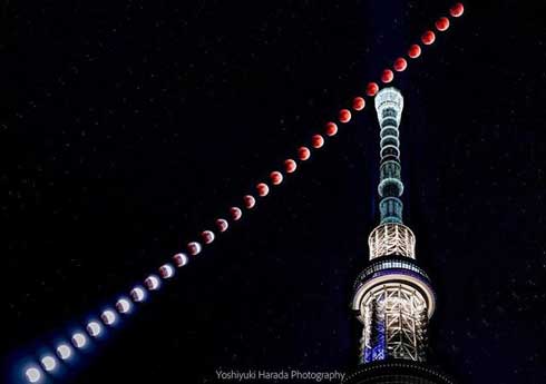 スカイツリー 花火 写真 隅田川花火大会