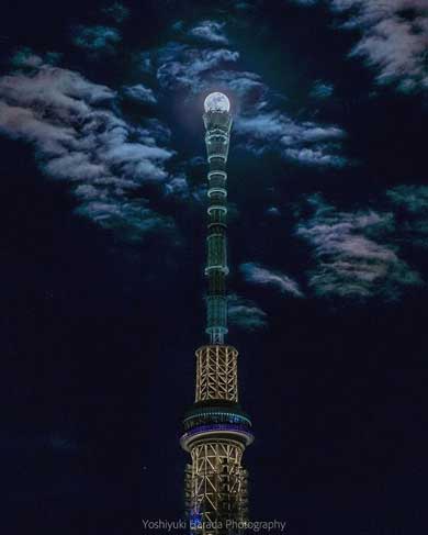 スカイツリー 花火 写真 隅田川花火大会